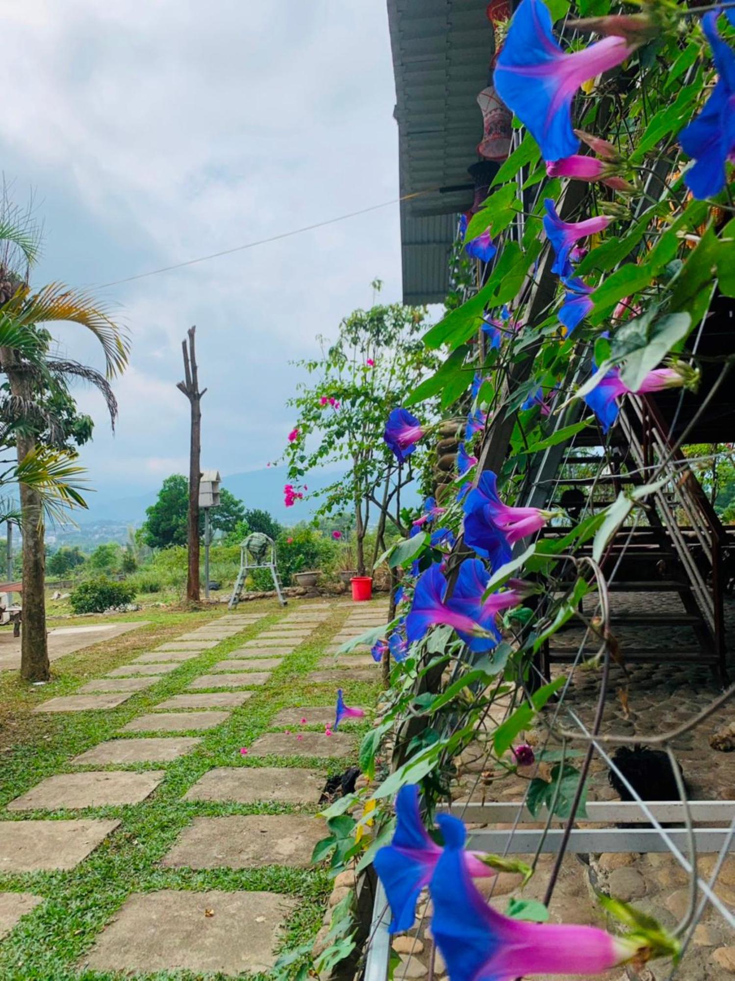 Homestay Nha Cua Mi - Mi'S House Yen Bai Extérieur photo
